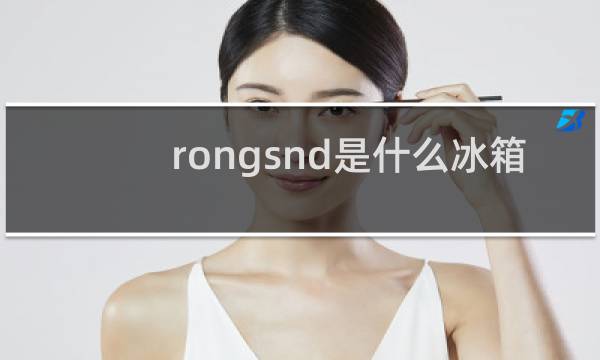 rongsnd是什么冰箱