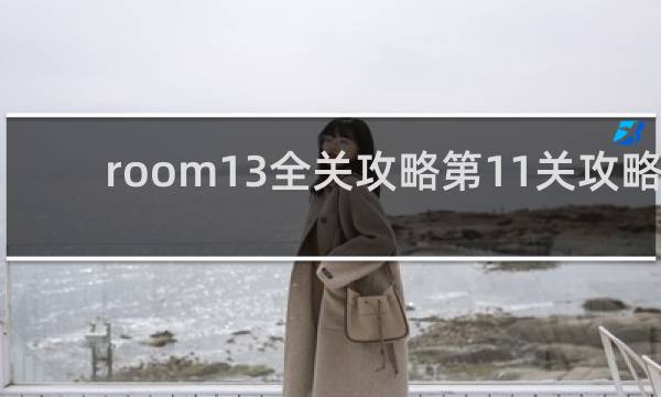 room13全关攻略第11关攻略