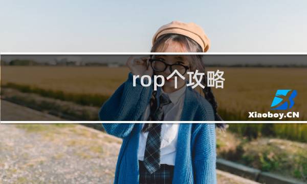 rop个攻略