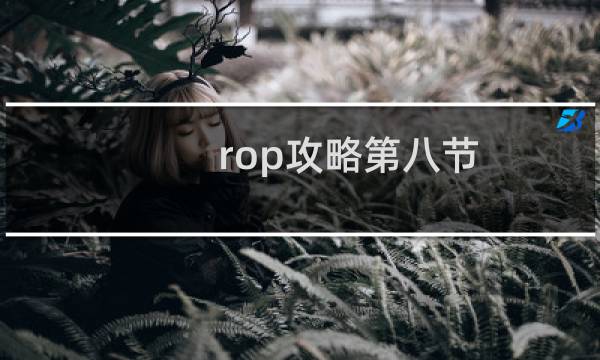 rop攻略第八节