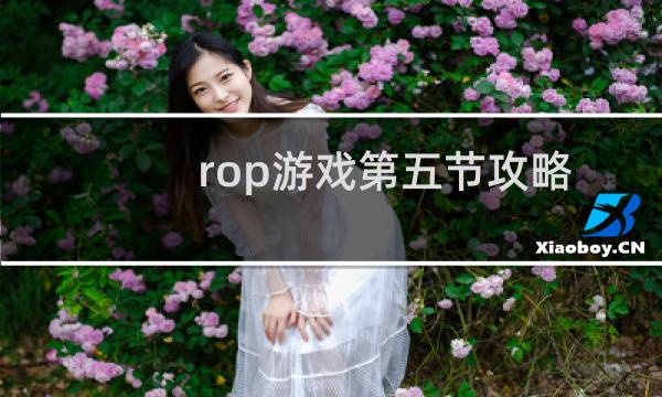 rop游戏第五节攻略