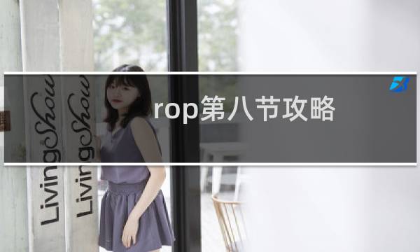 rop第八节攻略