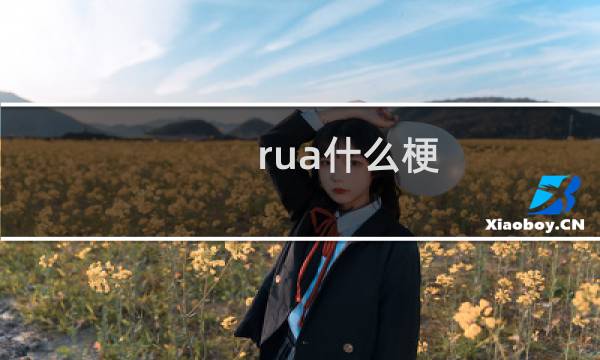 rua什么梗