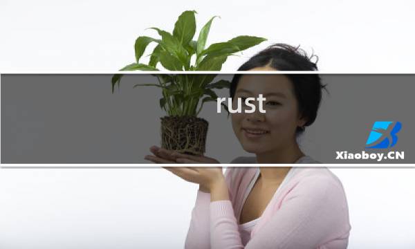 rust 腐蚀攻略