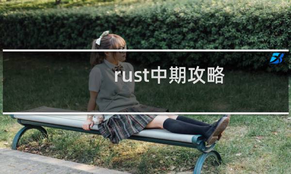 rust中期攻略