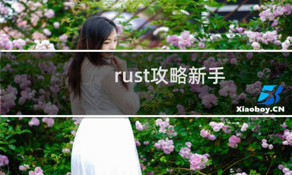 rust攻略新手