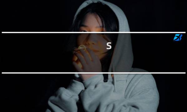 s  攻略