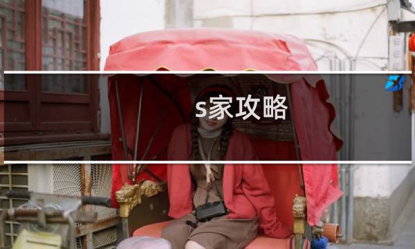 s家攻略