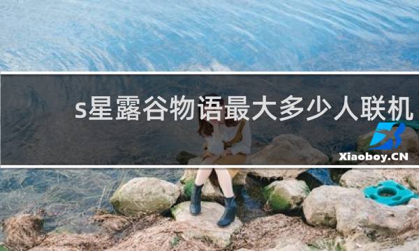 s星露谷物语最大多少人联机