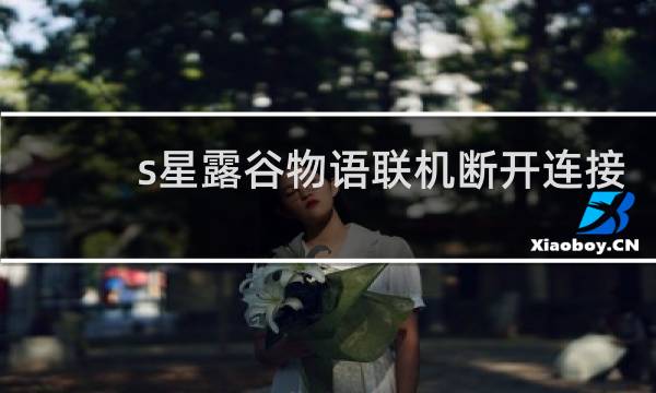 s星露谷物语联机断开连接