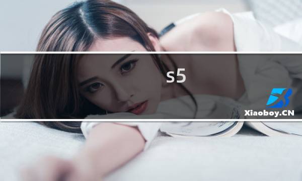 s5 女警攻略