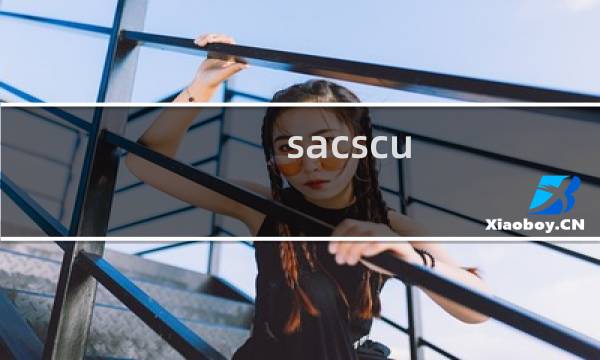 sacscu.org  为什么我这个域名看不到了