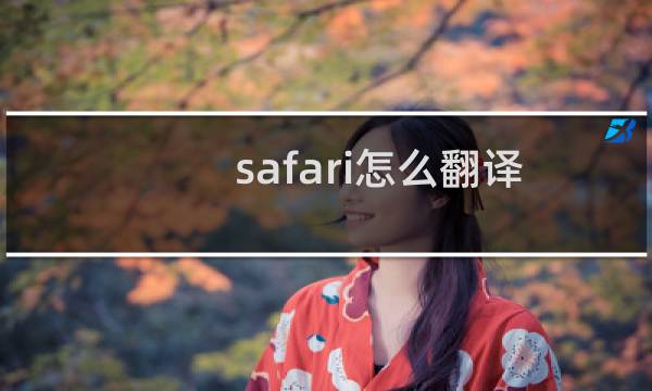 safari怎么翻译网页？ safari翻译网页图文教程