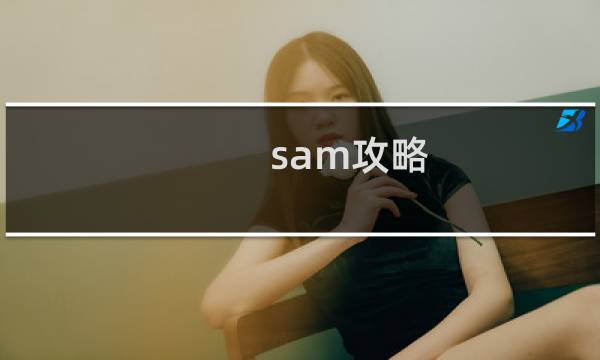 sam攻略