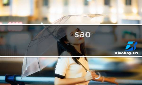 sao ls攻略