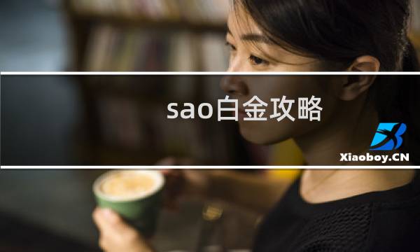 sao白金攻略