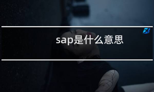 sap是什么意思图片