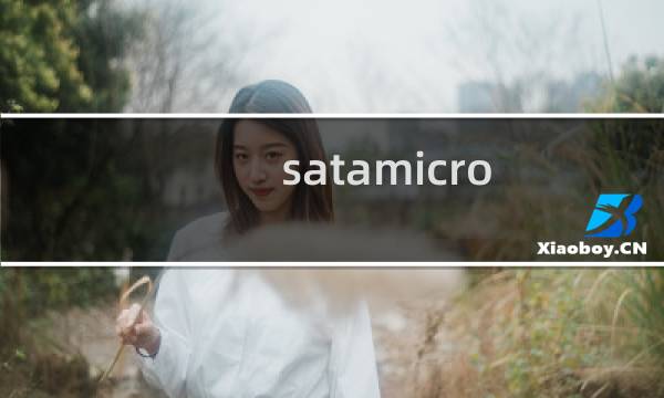 satamicro.com给挂马麻烦清理