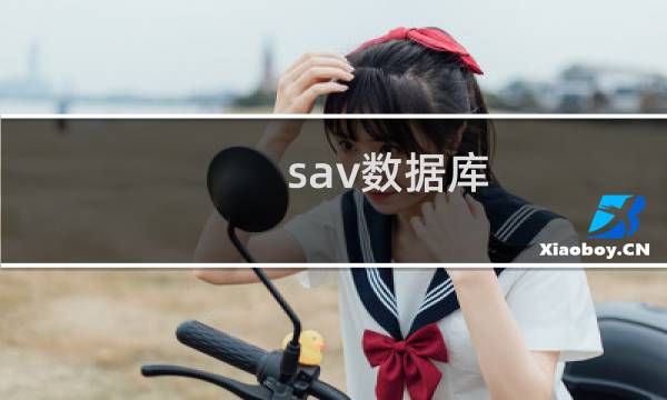 sav数据库
