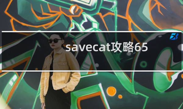 savecat攻略65