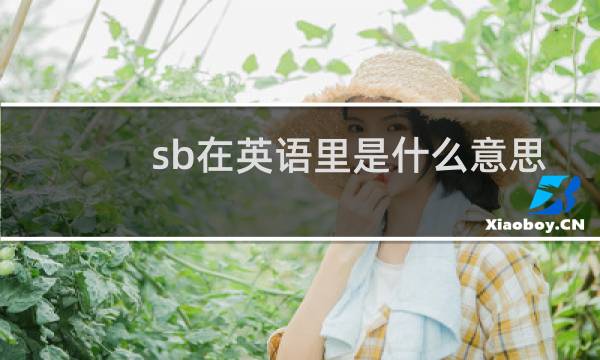 sb在英语里是什么意思图片