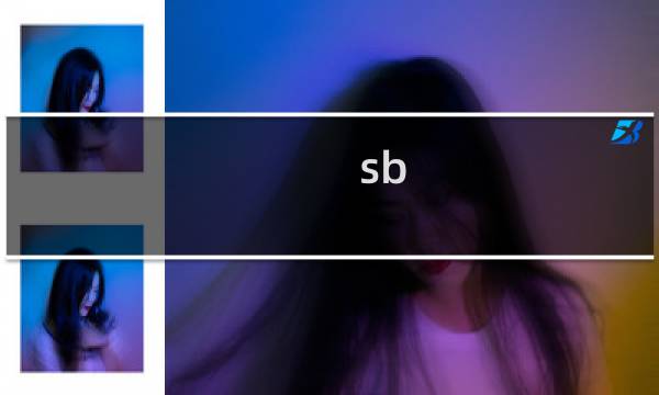 sb 网络语sb什么梗