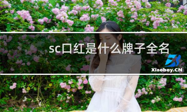 sc口红是什么牌子全名