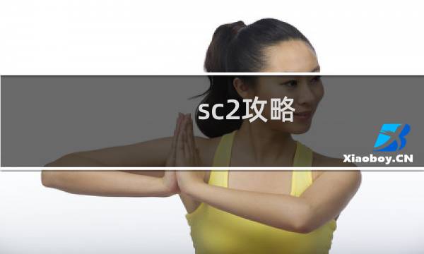 sc2攻略