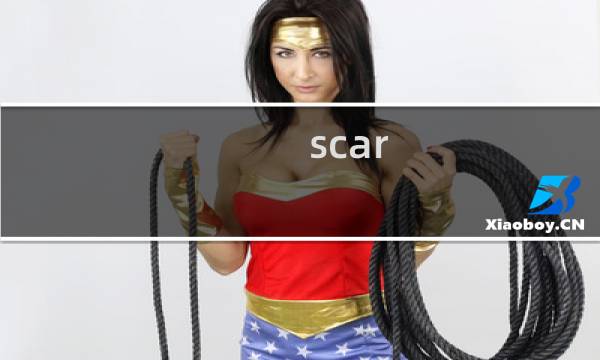 scar 皮肤攻略