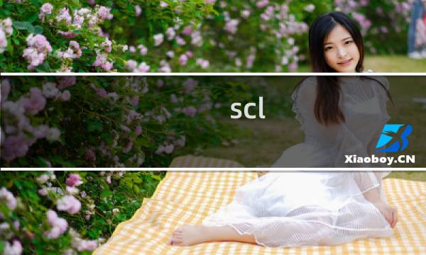 scl 90