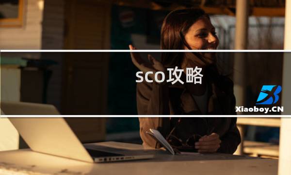 sco攻略