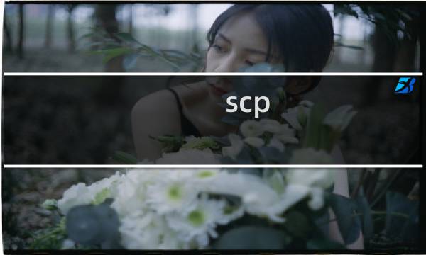 scp 1.3 攻略