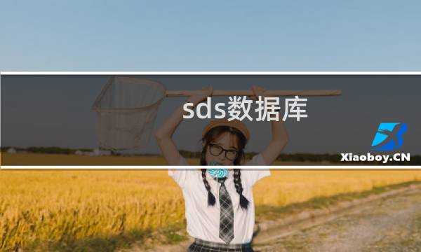 sds数据库