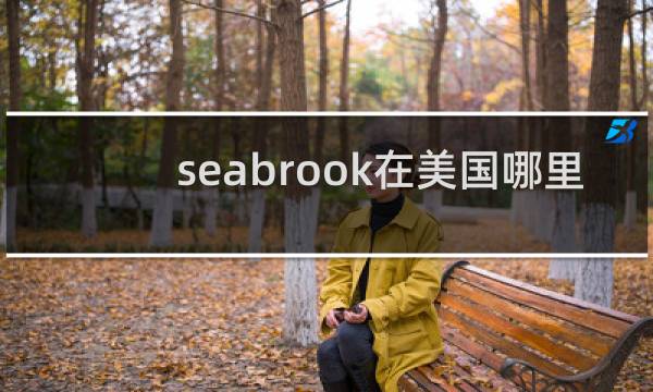 seabrook在美国哪里
