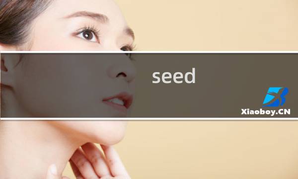 seed 佣兵 最终幻想