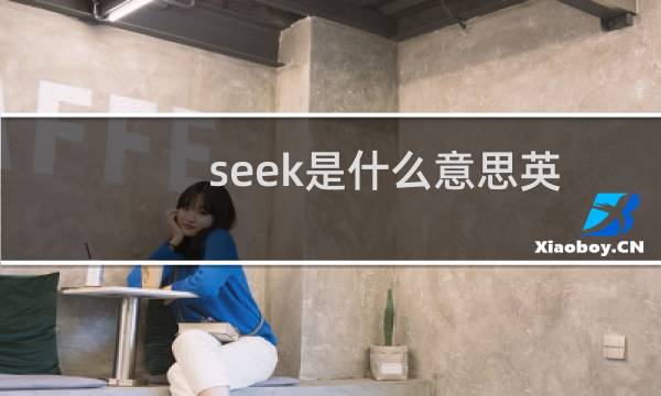 seek是什么意思英语翻译（seek是什么意思）图片