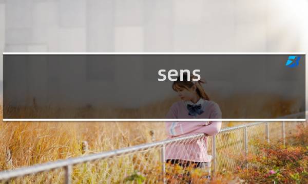 sens图片