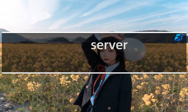 server 数据库