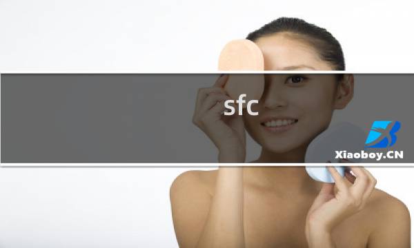sfc 皇家骑士团 攻略