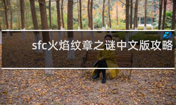 sfc火焰纹章之谜中文版攻略