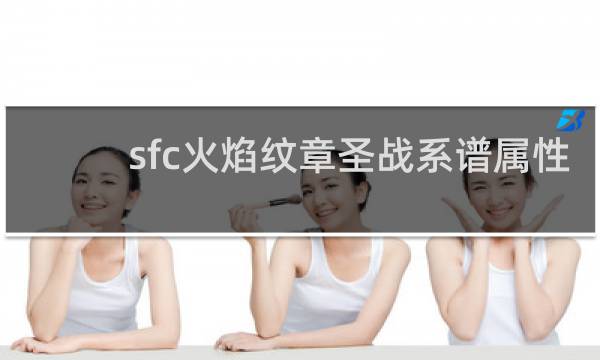 sfc火焰纹章圣战系谱属性