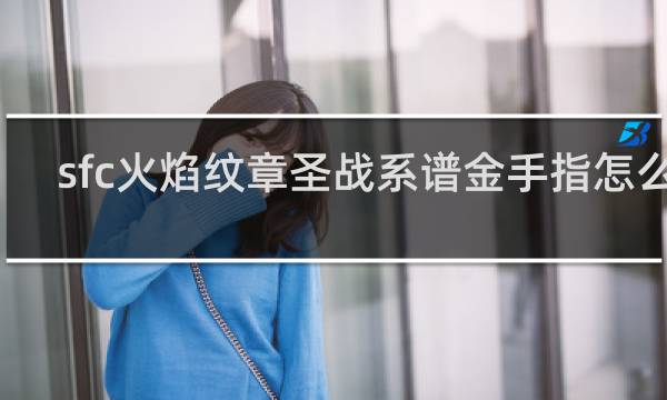 sfc火焰纹章圣战系谱金手指怎么用