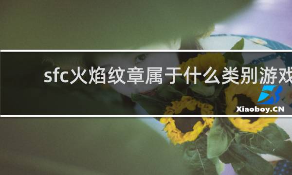 sfc火焰纹章属于什么类别游戏