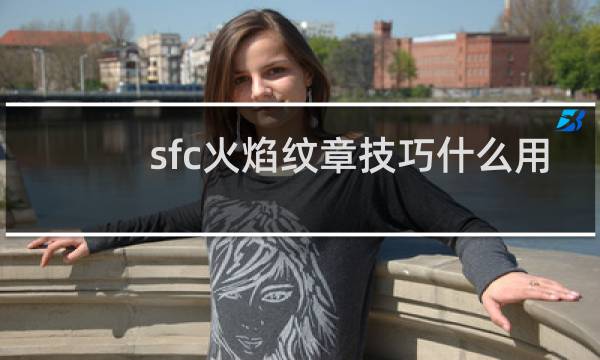 sfc火焰纹章技巧什么用