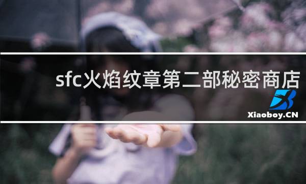 sfc火焰纹章第二部秘密商店