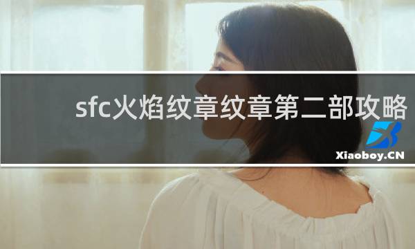 sfc火焰纹章纹章第二部攻略