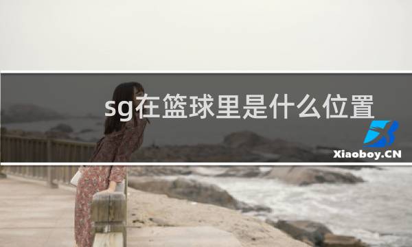 sg在篮球里是什么位置