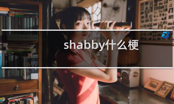 shabby什么梗