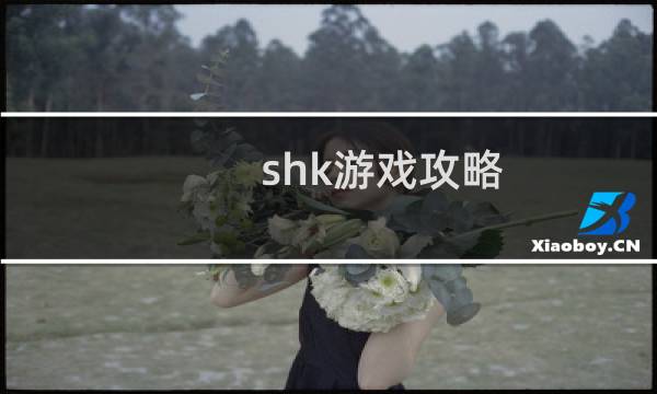 shk游戏攻略