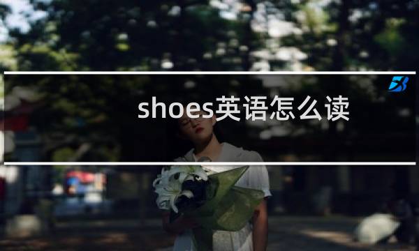 shoes英语怎么读